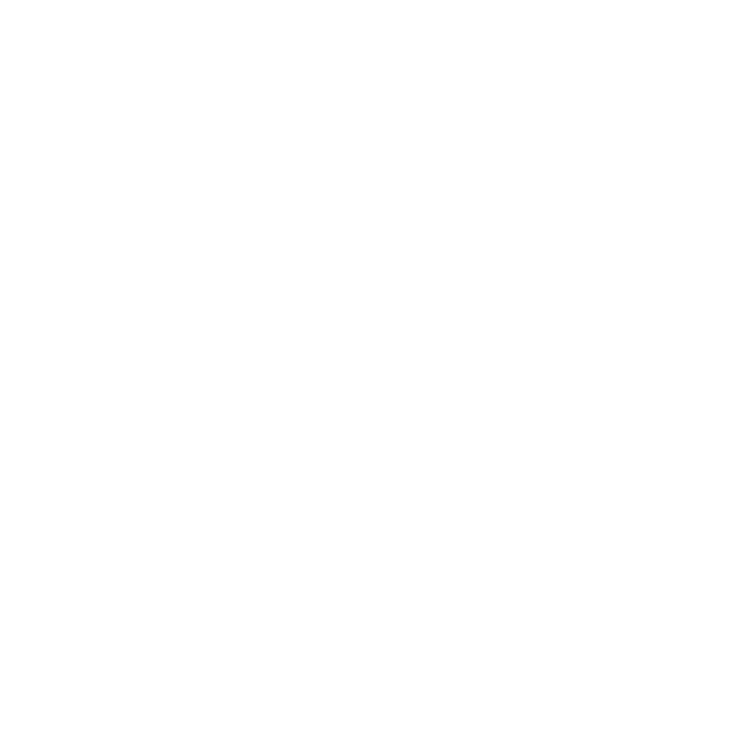 Weißes Globussymbol auf schwarzem Hintergrund, stilisiertes Netzmotiv.