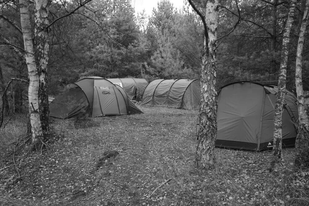 Zelte im Wald zwischen Bäumen. Ideal für Airsoft-Camping in der Natur.