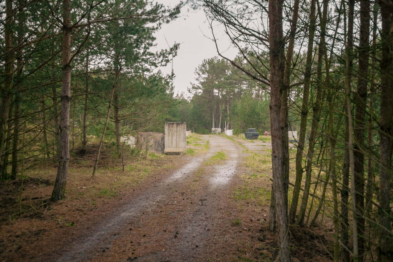 Waldweg mit Spielfeld-Strukturen, ideal für Airsoft.
