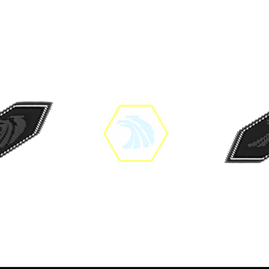 Sechseckiger Patch mit blauem Drachenkopf auf schwarzem Hintergrund; dünner gelber Rand.