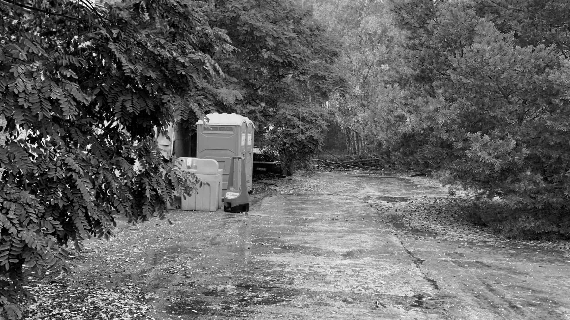 Weg im Wald mit mobilen Toiletten, umgeben von dichter Vegetation.