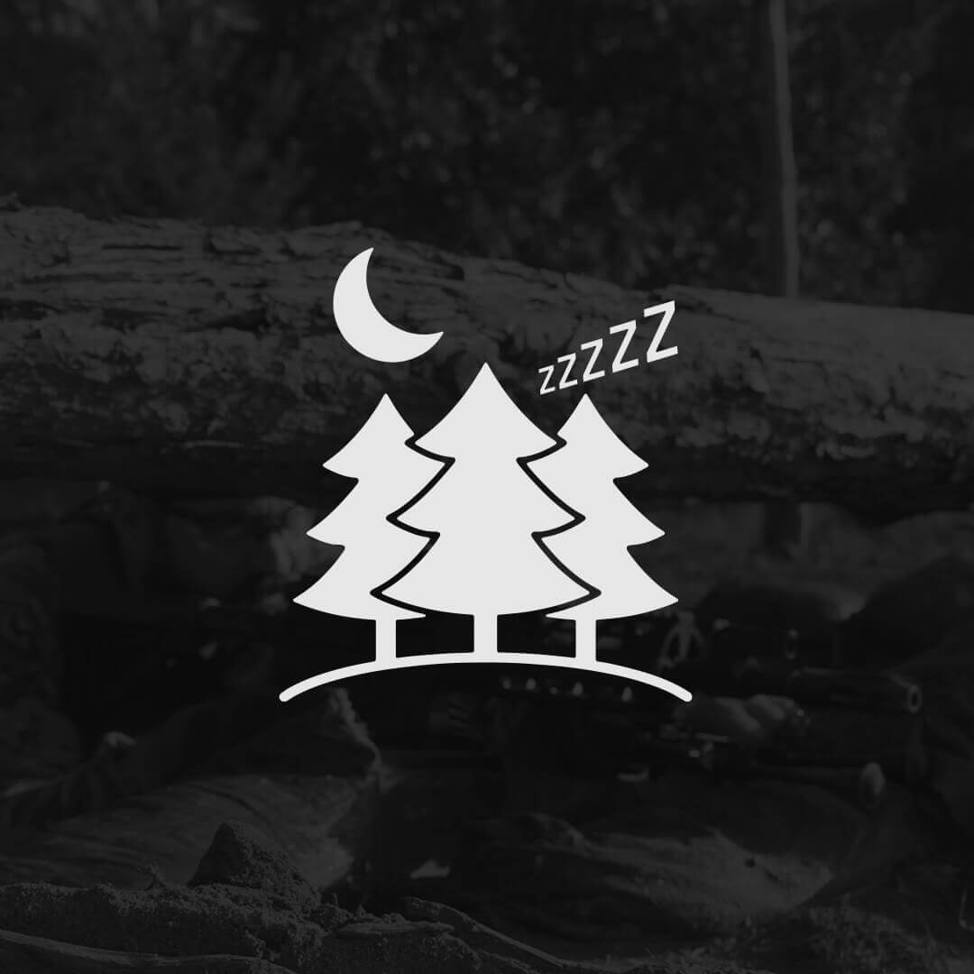 Drei stilisierte Bäume mit einem Mond und "zzz", Überlagerung auf Waldhintergrund.