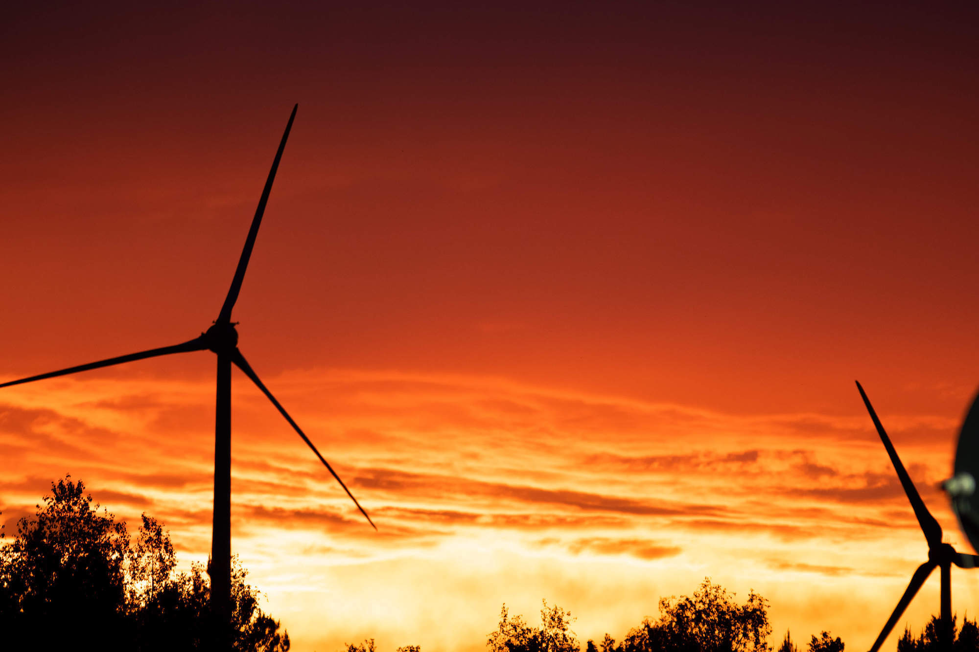 Windräder vor einem leuchtend orangefarbenen Sonnenuntergangshimmel, umrahmt von silhouettierten Bäumen.